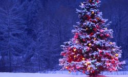 क्रिसमस र नयाँ वर्षका वेला इटालीमा कोभिड–१९ नियन्त्रणका थप उपाय अपनाइने