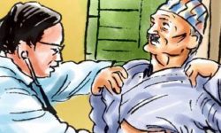 कोरोना संक्रमितलाई घरमै आयुर्वेदिक औषधि