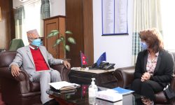 अर्थमन्त्री पौडेल र नेपालका लागि युरोपियन युनियनका राजदूत डेप्रेजबीच शिष्टाचार भेटघाट