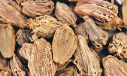 पाँच जातको नेपाली अलैँचीकाे पहिचान