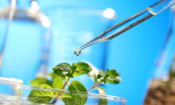 इलामको माङ्सेबुङमा बाली विज्ञानको कक्षा शुरु