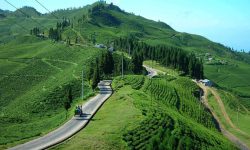 Ilam begins tourist count after 10 months