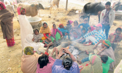 शीतलहर र हिमपातबाट हुने क्षति कम गर्न पूर्वतयारी तीव्र