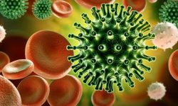 विश्वमा कोरोना संक्रमितको संख्या ११ करोड नाघ्यो