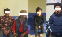 कोरोनाकालमा सल्बलाए रक्तचन्दन कारोवारीहरु