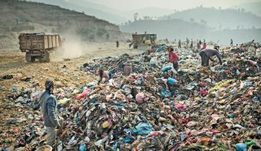 पुस पहिलाे सातादेखि काठमाडाैंकाे फाेहाेर बन्चरेडाँडामा