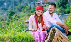 गरिमा शर्मा अभिनित मनछुने भिडियो ‘तिम्रै माया लाग्छ’सार्वजनिक