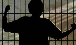 चितवनमा श्रीमतीको हत्या आरोपमा १० वर्ष कैद