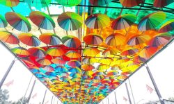 Umbrella Street in Patihani attracting domestic tourists
