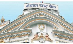 नेपालबाटै डलरमा विदेशी वस्तु तथा सेवा खरिद गर्न सकिने