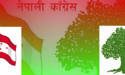 अध्यादेश तत्काल फिर्ता लिएर संसदको बैठक बोलाउन काँग्रेसको माग