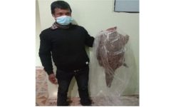 काठमाडौंको मित्रनगरबाट सालकको खपेटासहित एक पक्राउ