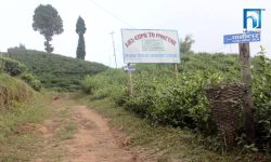 पर्यटकको आकर्षण बन्दैछ पानीटार