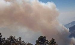 पाथीभरा क्षेत्रमा भीषण आगलागि, मन्दिर जोखिममा