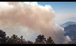 ताप्लेजुङमा लागेको आगो अझै नियन्त्रण बाहिर