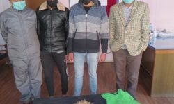 अवैध यार्सागुम्बासहित चार जना पक्राउ