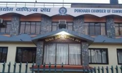 श्रेष्ठको संयोजकत्वमा पोखरा उद्योग वाणिज्य सङ्घको निर्वाचन समिति