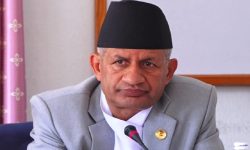 ओलीले दिए प्रदीपलाई प्रवक्ताको जिम्मेवारी