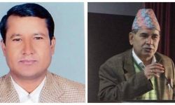 तिमल्सिना र रम्तेलले गरे पद अस्वीकार