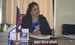 गुल्मीले पायो पहिलो पटक महिला सीडीओ