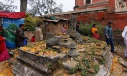 दिवंगत पितृको सम्झनामा शतबीज छरिँदै