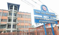 उद्योग वाणिज्य महासङ्घद्वारा विभिन्न समिति र फोरम गठन