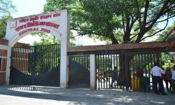 Central Zoo reopens after eight months