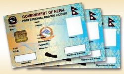परीक्षा उत्तीर्ण गरेकाले पनि चालक अनुमति पत्र पाएनन्
