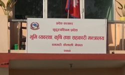 कृषकलाई एक प्रतिशत व्याजमा कर्जा उपलब्ध गराइँदै