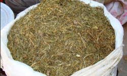 जिम्बु र भोटेजिराको लोभलाग्दो व्यापार