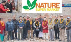 काठमाडौंको नरेफाँटमा नेचर सुपर मार्केटको पहिलो शाखा