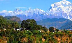 पर्यटक आगमन नहुँदा घरबास सुनसान