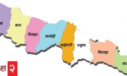 प्रदेश २ ले संविधान दिवस नमनाउने