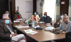 नेपालमा रासायनिक मल कारखाना स्थापनाको लागि गृहकार्य सुरु