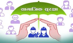 सामाजिक सुरक्षा कोषमा १ लाख ८४ हजार बढी श्रमिक सूचीकृत