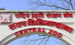 अनलाइनमार्फत टिकट काट्ने बढे