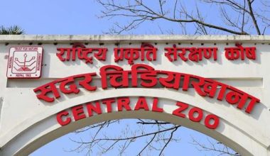 अनलाइनमार्फत टिकट काट्ने बढे