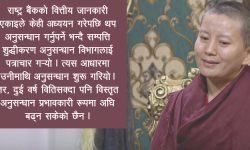 आनीको स्रोत नखुलेको कालो धन ! कहाँ पुग्यो अनुसन्धान ?