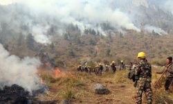 आगोले नै निभायो आगो