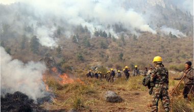 आगोले नै निभायो आगो