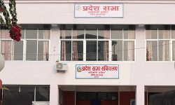 वाग्मती प्रदेशको नीति तथा कार्यक्रम प्रदेशसभाबाट बहुमतले पारित