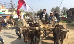 प्रधानमन्त्री ओलीको विरोधमा बयलगाडा र्‍याली