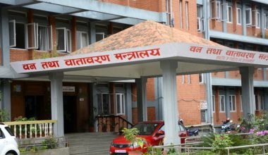 प्लास्टिकका फूल बेचे १ लाख जरिवाना