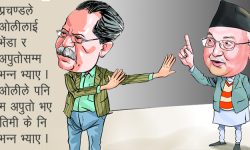 वर्तमान परिप्रेक्षमा