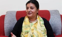 संविधान दिवसका अवसरमा राष्ट्रपतिद्वारा ९०३ जनालाई विभूषण प्रदान गरिने