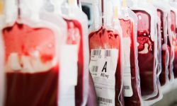 पोखरामा अत्याधुनिक सुविधा सहितको रक्त सञ्चार केन्द्र निर्माण