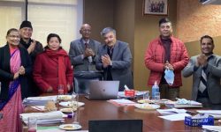 सेञ्चुरी बैंकद्वारा थप सात वटा नयाँ शाखा बिस्तार