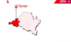 नौ व्यावसायिक फर्मलाई कारवाही