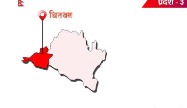 नौ व्यावसायिक फर्मलाई कारवाही