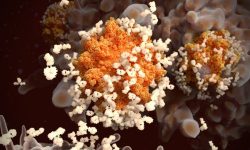 चीनमा कोरोना भाइरसका नयाँ संक्रमित भेटिने क्रम बढ्यो